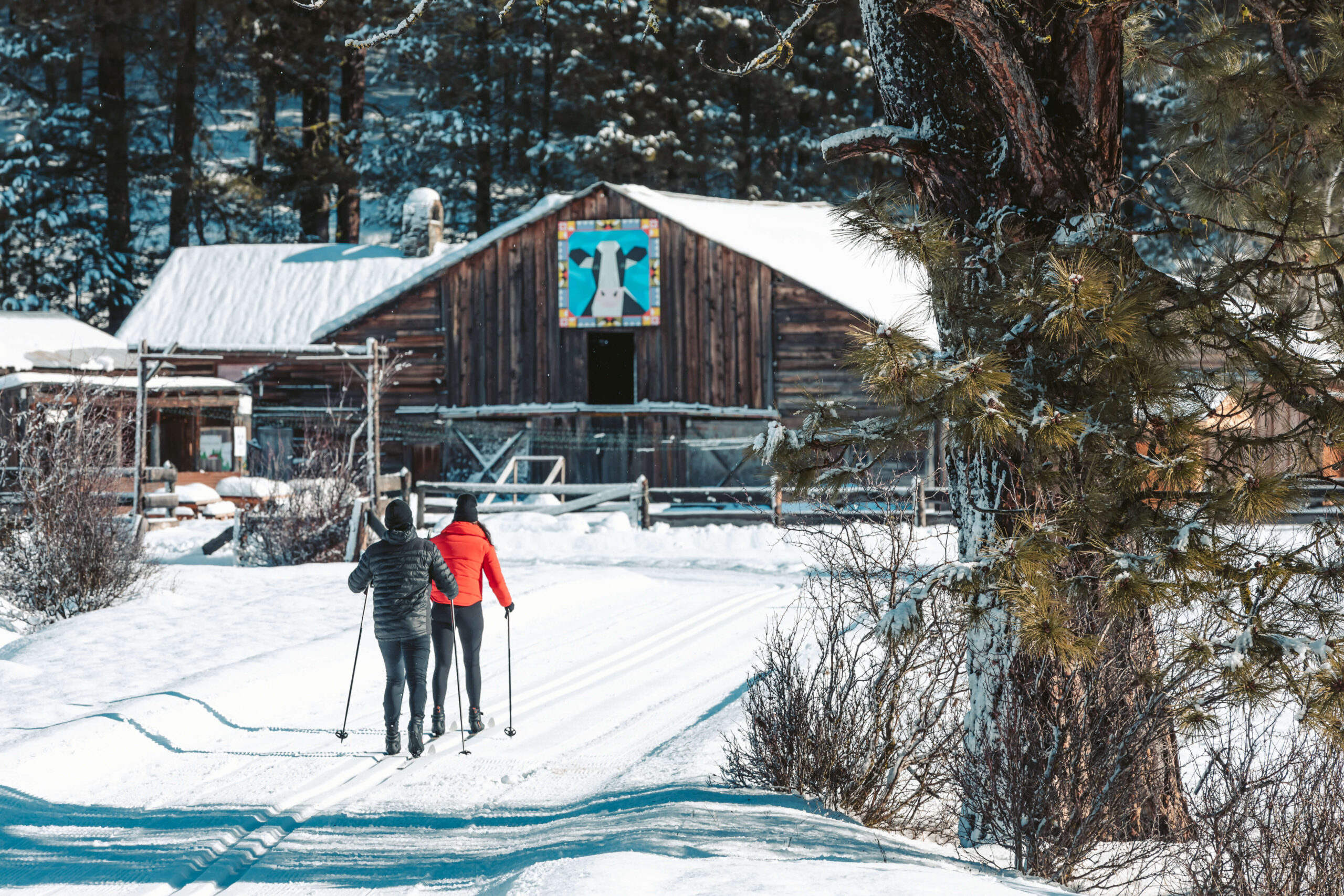Winter activities at Suncadia